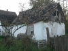 cimg5988
